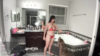 StrawberryTabby McDonalds Bikini Livestream