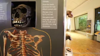 Sukoshicosplay Vlog Sex Tape Video Leaked