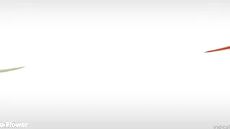 Indica Flower Nude Fucking Porn Video Leaked