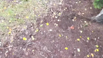 Mini Lilly Outdoor Sex Tape Video Leaked