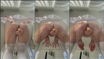 Cutegeekie Dildo Riding Bottow View Video Leaked