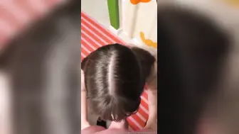 Bananapotato333 Gives A Blowjob On Her Knees OnlyFans POV Video Leak