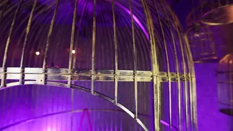 Mikomi Hokina and Pattie Nude Cosplay Elf Duo Video Leaked