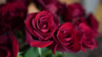 Kristen Lanae Nude Rose Masturbation Video Leaked