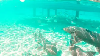 Rachel Cook Beach Bikini Modeling Patreon Video Leaked