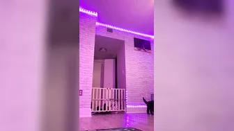 Playprincess414 Full OnlyFans Livestream Video Leaked